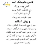سرم صورت لکتون هیالورونیک اسید lactone