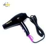 قیمت و خرید سشوار حرفه ای سالنی پرومارون RL-8806